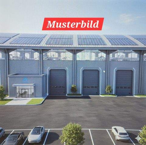 Plattling Halle, Plattling Hallenfläche