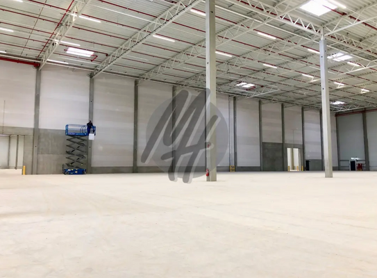 INFOS UNTER: 06171-586000