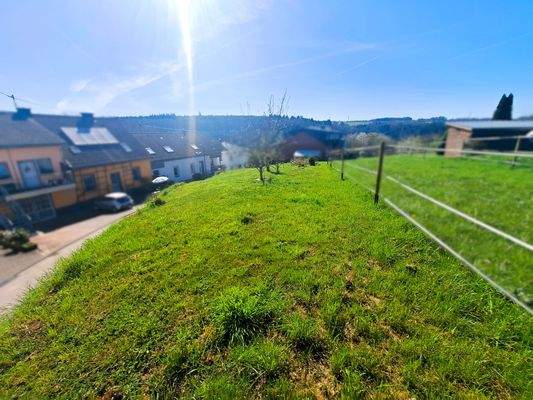 Immobilienperle Veronika Löffler - Grundstück vor der Immobilie (geeignet für Tierhaltung)