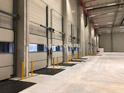 Gelsenkirchen Halle, Gelsenkirchen Hallenfläche