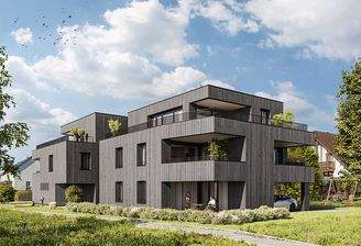 Gaissau Ofenstrasse_3_005