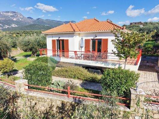 1b1b817ba582470dadd6cd9a331bae5e-original