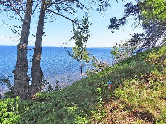 Cape Breton - Roberta - Einzigartiges 79-Hektar-Ar