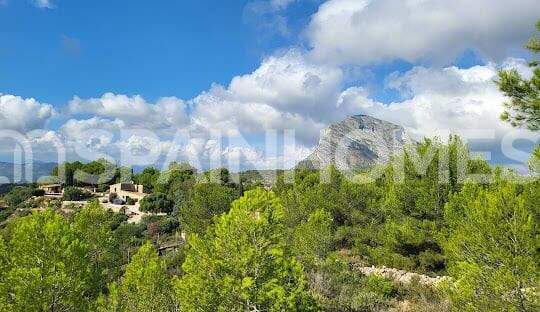 Luxe Houses with Private Pool and Garden in Denia Alicante