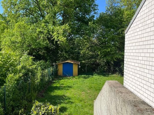 Blick in Garten