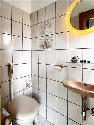 Tageslicht-Gäste-WC im EG