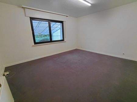 Zimmer EG 2. Wohnung