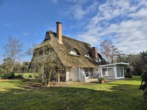 Wildeshausen / Aumühle Häuser, Wildeshausen / Aumühle Haus kaufen