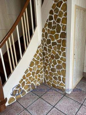 8e229b64-8f52-4988-85d6-ca506efbbb49