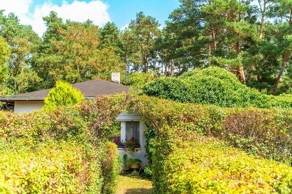 Naturnahes Wohnen mit Ausblick ins Grüne