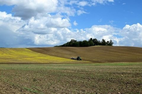 Montepiano Häuser, Montepiano Haus kaufen
