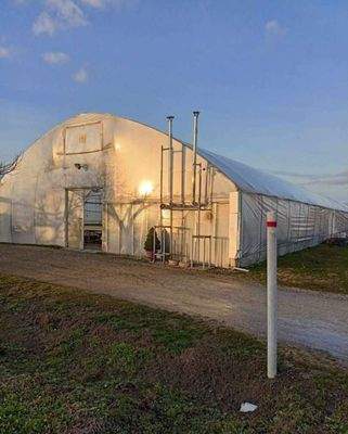 Beepitheto_belteruleti_ingatlan__igenyes_kerteszettel_263402755933171 (1).jpg