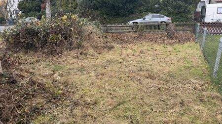 Blick zur Straße von hinten