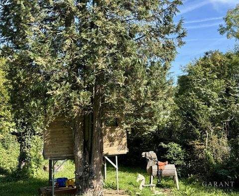 Vaihingen an der Enz Häuser, Vaihingen an der Enz Haus kaufen
