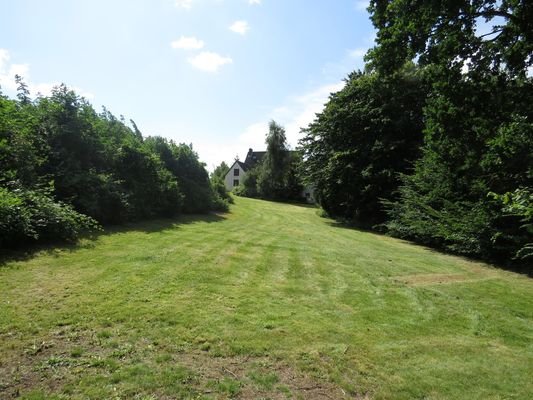 Garten / Potenzielles Baugrundstück