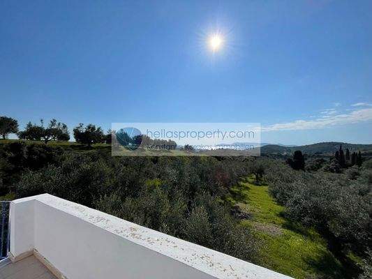 49c51015ba304b29a23c0379c2c6367e-original