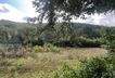 Grundstück