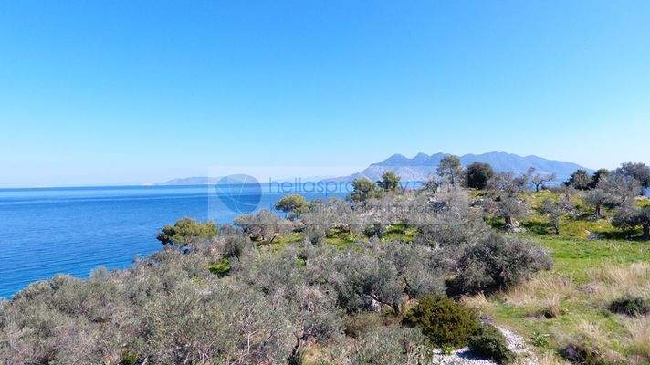 DJI_0001