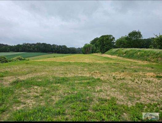 Landwirtschaftsfläche &quot;Axtfeld&quot; Gemarkung Walda