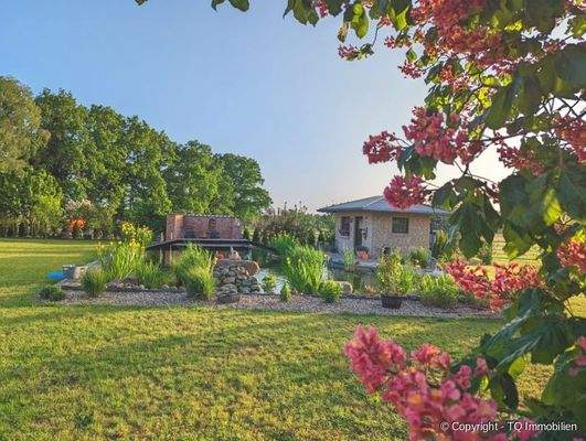 Garten / Großer Naturteich