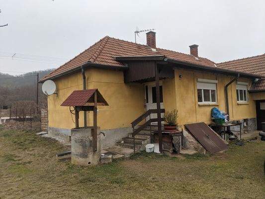 PXL_20250213_133909618 (1).jpg