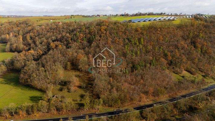 DJI_20251117114414_0009_D