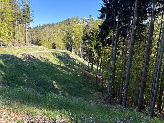 2025-05-13 17.05.52.jpg