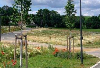 Viel Platz für Ihr Traumhaus