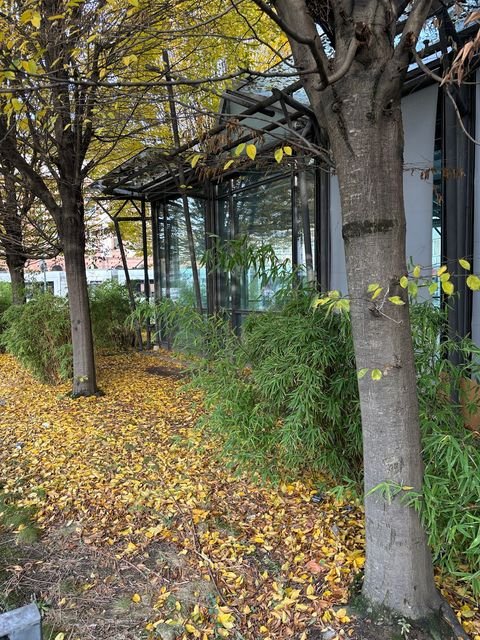 Düsseldorf Büros, Büroräume, Büroflächen 