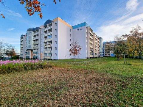 Magdeburg Wohnungen, Magdeburg Wohnung mieten