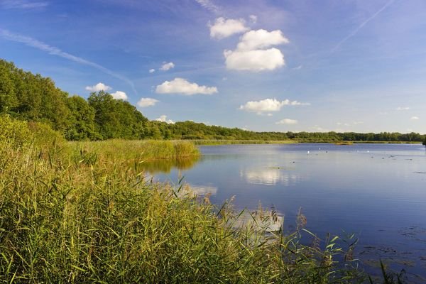 am Rande des Europareservat