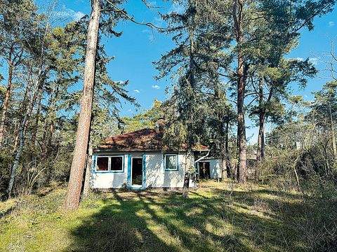 Am Mellensee Grundstücke, Am Mellensee Grundstück kaufen