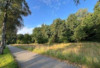 Zufahrt über die Buchholzer Landstraße.jpg