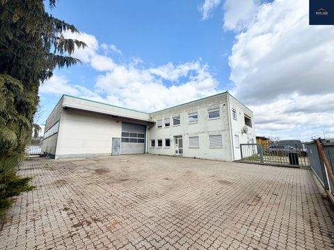 Remseck am Neckar Halle, Remseck am Neckar Hallenfläche