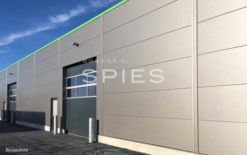 Bremen Halle, Bremen Hallenfläche