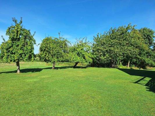 Garten mit Obstbäumen