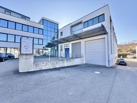 Weinstadt Halle, Weinstadt Hallenfläche