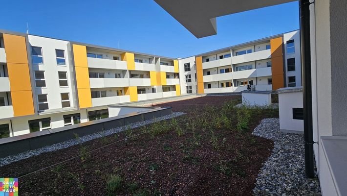 Bild 19