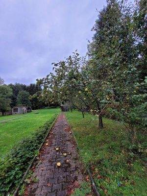 weitläufiger Garten