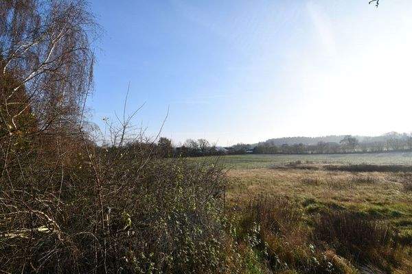 Wiese hinter dem Haus dazugehörig