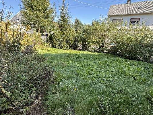 Gartenfläche 
