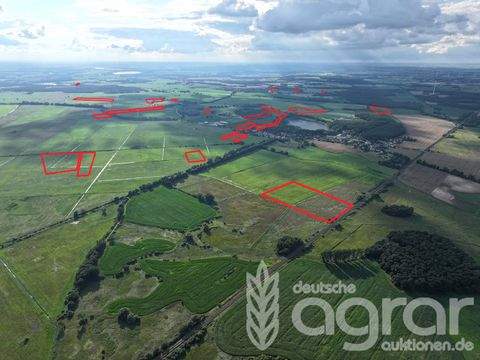 Altwigshagen / Demnitz Bauernhöfe, Landwirtschaft, Altwigshagen / Demnitz Forstwirtschaft