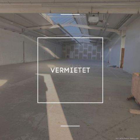 Singen Halle, Singen Hallenfläche