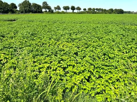 Korschenbroich Bauernhöfe, Landwirtschaft, Korschenbroich Forstwirtschaft