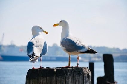 Umgebungsbilder