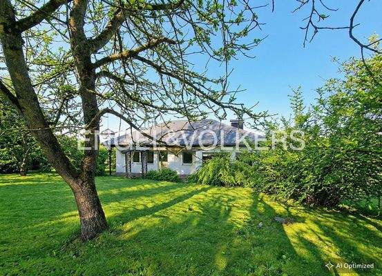 [KI-optimiertes Foto] Gartenansicht