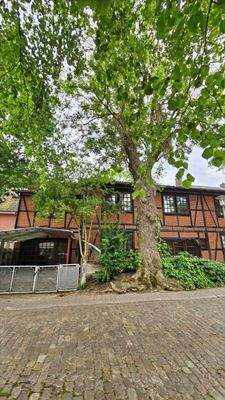 West-Ansicht (Einbahnstraße)