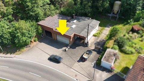 Lemberg Halle, Lemberg Hallenfläche