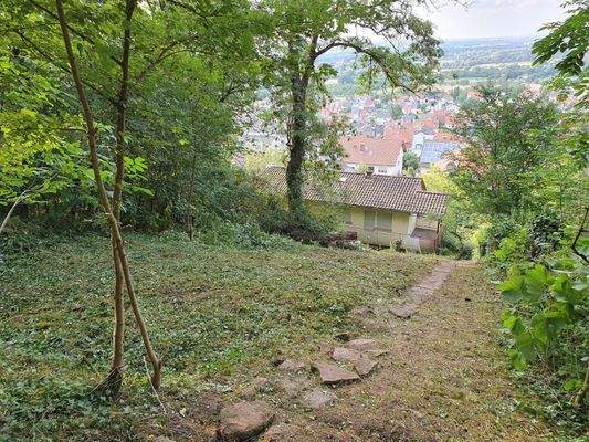 Gartenansicht oberhalb der Altbebauung