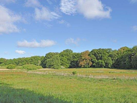 Umgebung: Natur- und Wandergebiet Teichwiesen